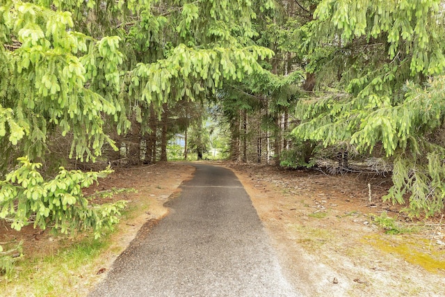 28443 133rd St NW, Baldwin Twp, MN 55398 - view of road