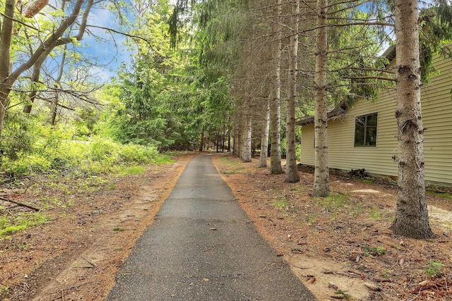 28443 133rd St NW, Baldwin Twp, MN 55398 - view of road