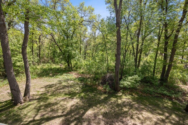 view of woods