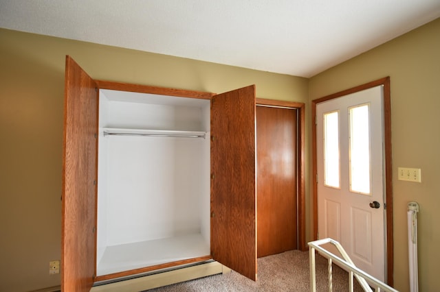 536 3rd Ave, Wanamingo, MN 55983 - view of closet