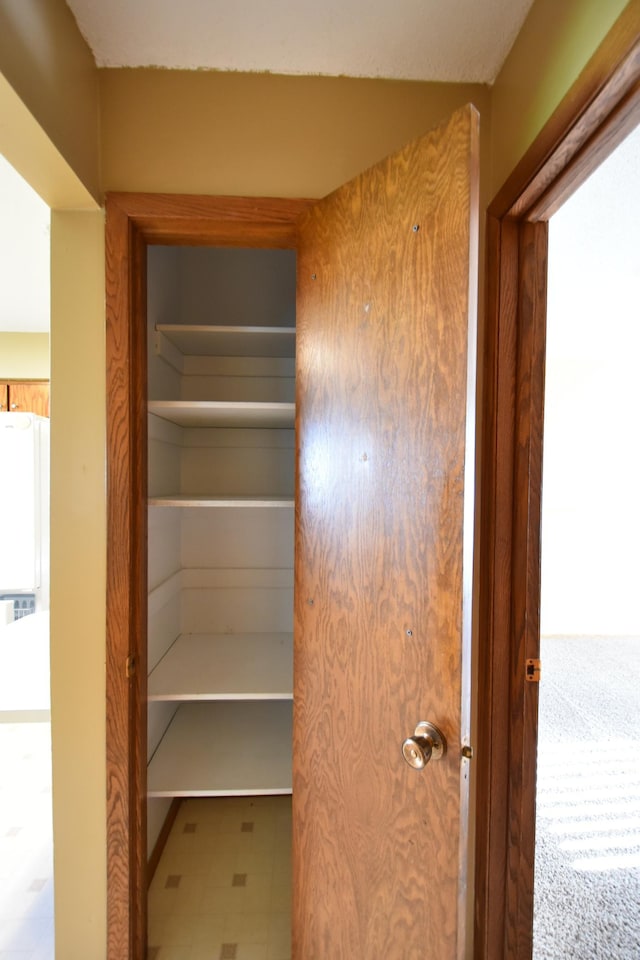536 3rd Ave, Wanamingo, MN 55983 - view of closet