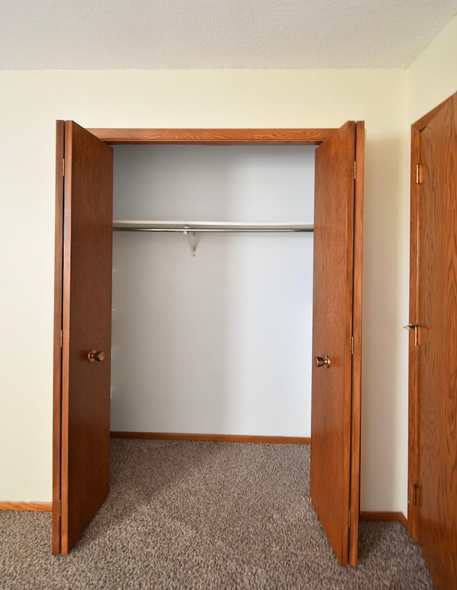 536 3rd Ave, Wanamingo, MN 55983 - view of closet