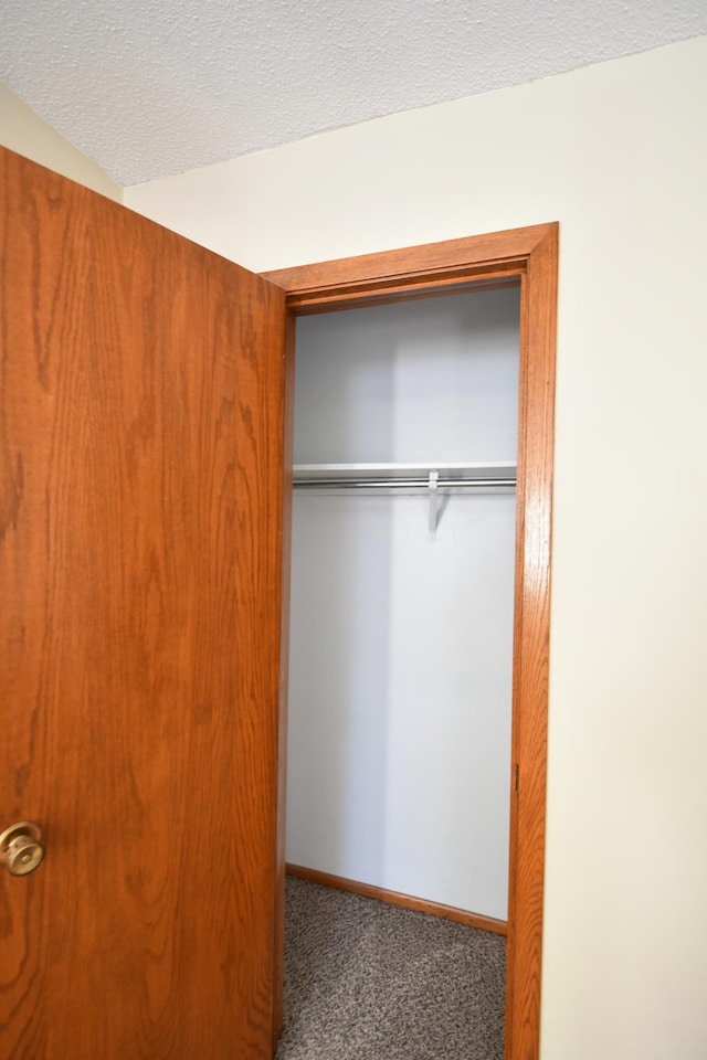 536 3rd Ave, Wanamingo, MN 55983 - view of closet