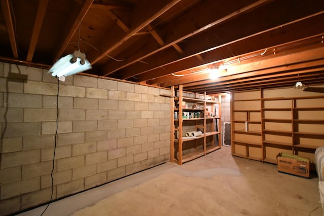 536 3rd Ave, Wanamingo, MN 55983 - view of unfinished basement