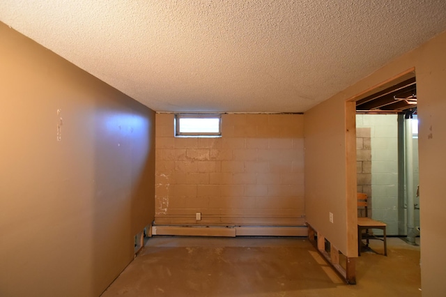 536 3rd Ave, Wanamingo, MN 55983 - basement with a textured ceiling and concrete block wall