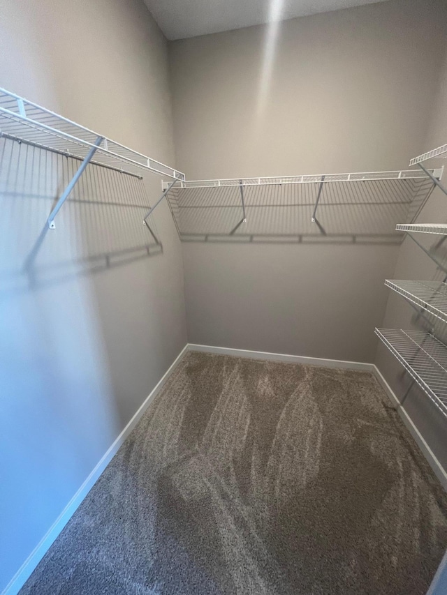 12515 Erskin St NE, Blaine, MN 55449 - walk in closet with carpet floors