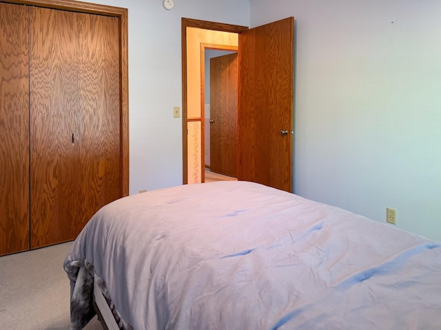 1626 Diane Rd, Mendota Heights, MN 55118 - carpeted bedroom featuring a closet