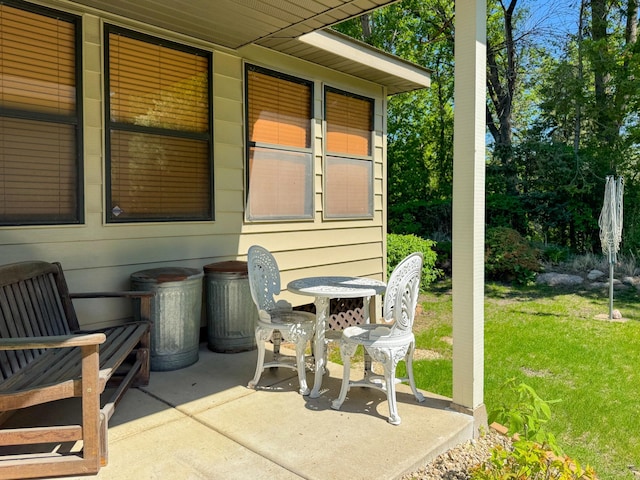 1626 Diane Rd, Mendota Heights, MN 55118 - view of patio