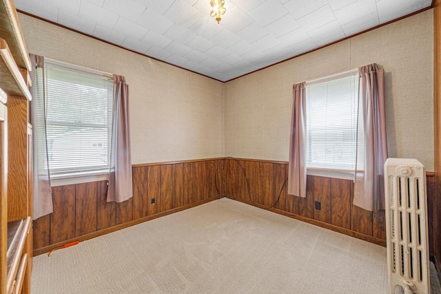 209 Main St, Arlington, MN 55307 - carpeted empty room with radiator, wooden walls, ornamental molding, and a wainscoted wall