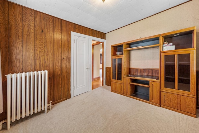209 Main St, Arlington, MN 55307 - unfurnished living room featuring radiator, carpet flooring, and wooden walls