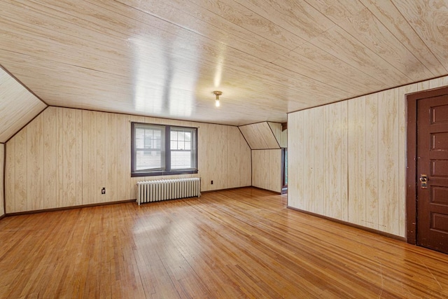 209 Main St, Arlington, MN 55307 - bonus room with radiator heating unit, wood-type flooring, wood ceiling, wood walls, and lofted ceiling