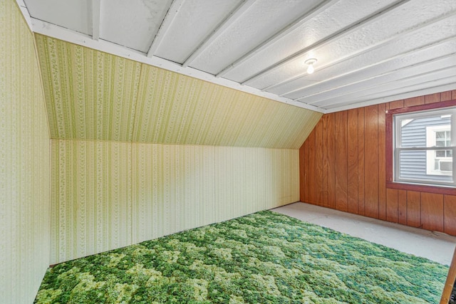 209 Main St, Arlington, MN 55307 - additional living space featuring carpet flooring and vaulted ceiling