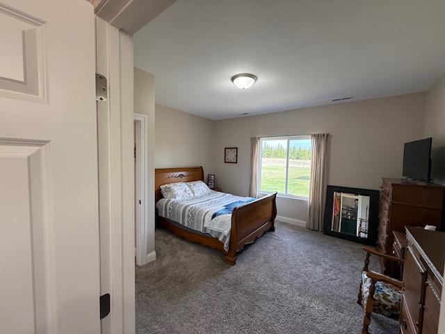2008 Whiting Rd NW Unit 26, Bemidji, MN 56601 - carpeted bedroom with baseboards
