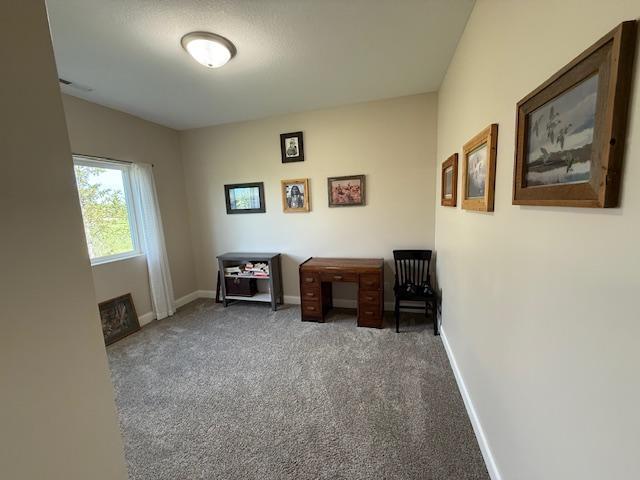 2008 Whiting Rd NW Unit 26, Bemidji, MN 56601 - carpeted home office featuring baseboards