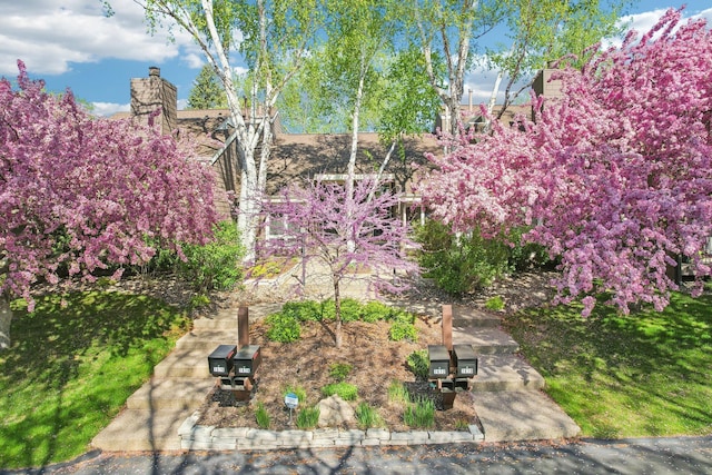 7676 Woodview Ct, Edina, MN 55439 - view of yard