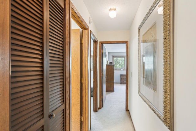 7676 Woodview Ct, Edina, MN 55439 - hallway featuring light carpet