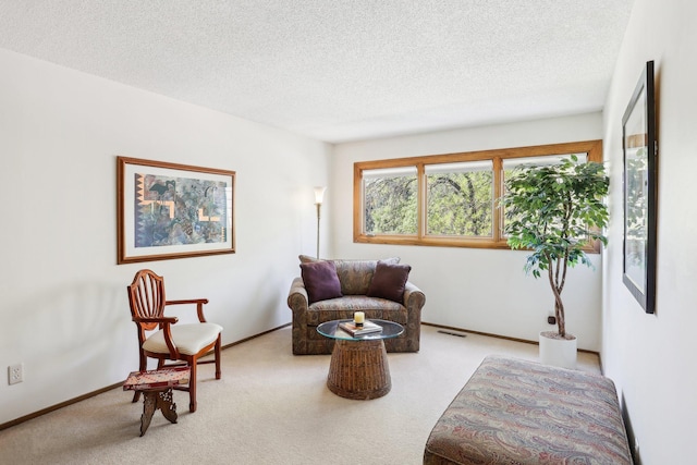 7676 Woodview Ct, Edina, MN 55439 - sitting room featuring carpet, a textured ceiling, and baseboards