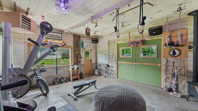 12586 220th St, Silver Lake, MN 55381 - exercise room featuring wooden ceiling