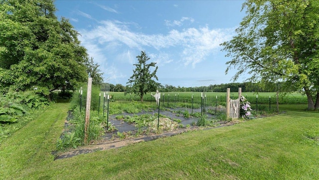 12586 220th St, Silver Lake, MN 55381 - view of green lawn featuring a garden and a view of rural / pastoral area