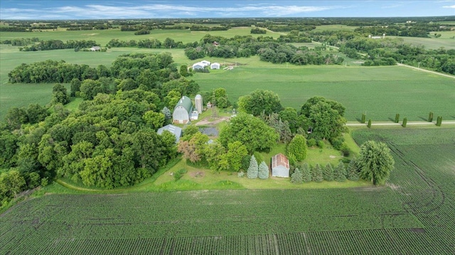 12586 220th St, Silver Lake, MN 55381 - aerial overview of property's location with rural landscape and abundant farmland