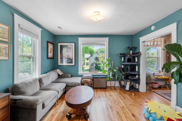 1123 5th St NE, Minneapolis, MN 55413 - living room featuring healthy amount of natural light and light wood-type flooring