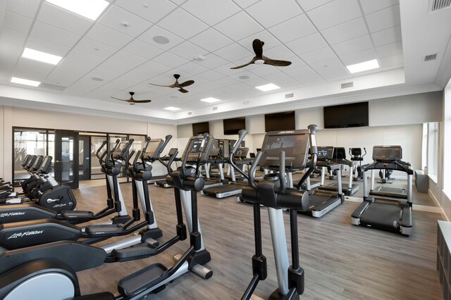 19530 102nd, Corcoran, MN 55374 - workout area with a drop ceiling, plenty of natural light, ceiling fan, wood finished floors, and a raised ceiling