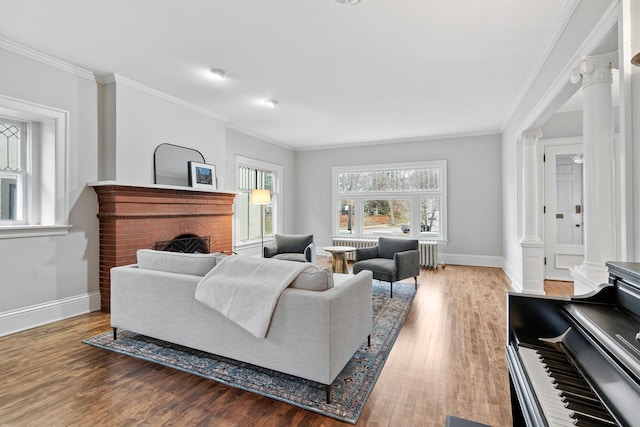 living area featuring ornamental molding, radiator, ornate columns, wood finished floors, and a fireplace