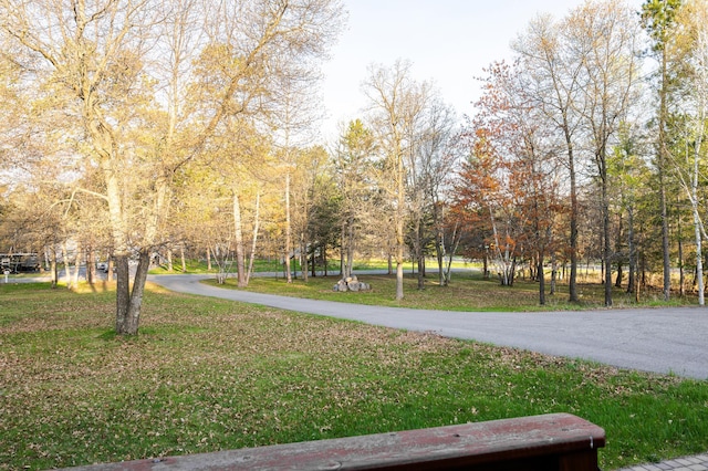 view of property's community with a yard