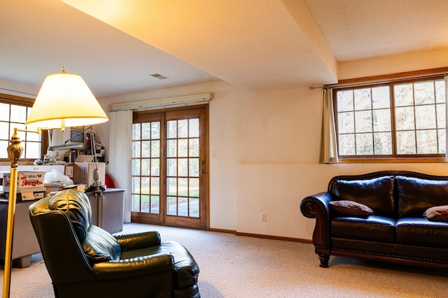 carpeted living area with baseboards and healthy amount of natural light