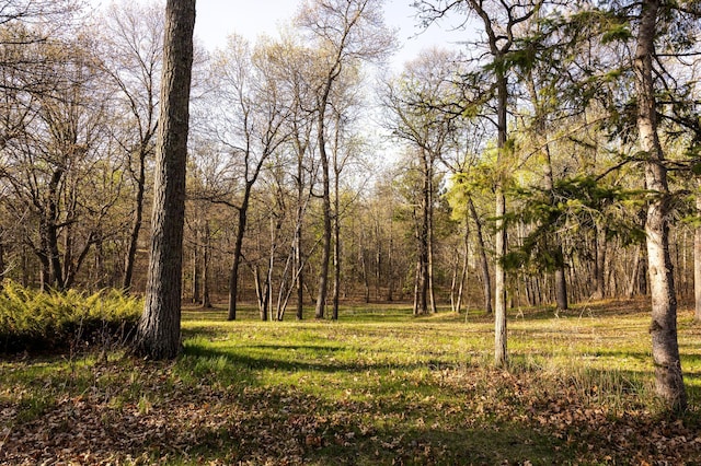 view of yard with a forest view