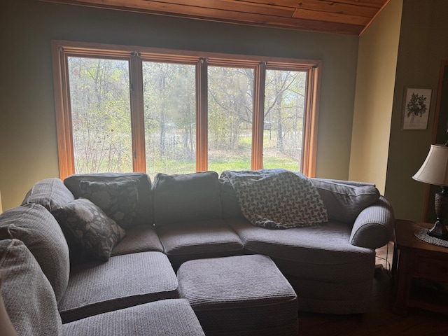 7525 Filbert Ln NE, Turtle River Twp, MN 56601 - living room with wood ceiling and healthy amount of natural light