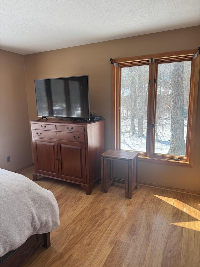 7525 Filbert Ln NE, Turtle River Twp, MN 56601 - bedroom with light wood-style floors