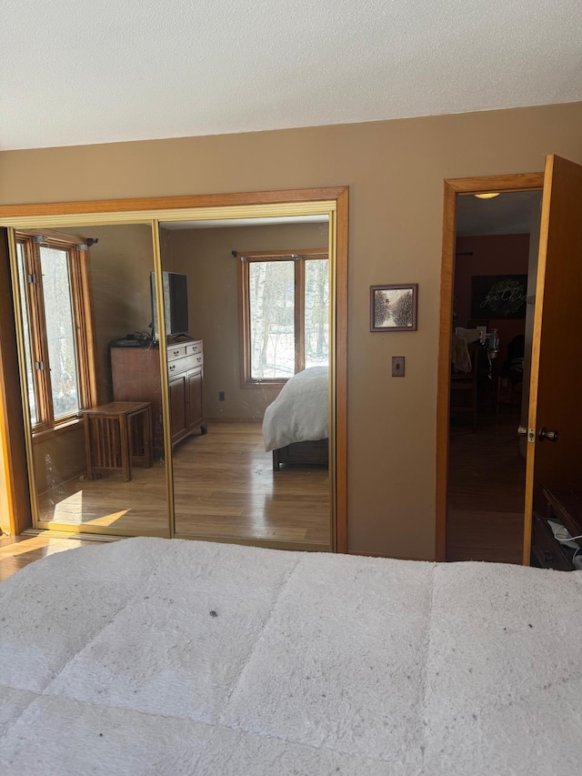 7525 Filbert Ln NE, Turtle River Twp, MN 56601 - bedroom with a closet and wood finished floors