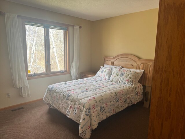 7525 Filbert Ln NE, Turtle River Twp, MN 56601 - bedroom with carpet floors