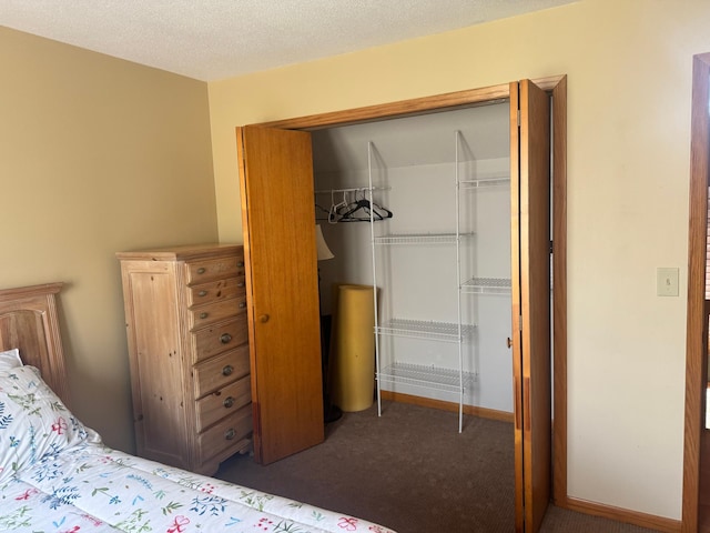 7525 Filbert Ln NE, Turtle River Twp, MN 56601 - bedroom with a closet and carpet