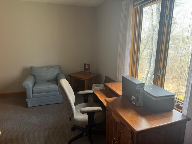 7525 Filbert Ln NE, Turtle River Twp, MN 56601 - home office featuring plenty of natural light and carpet