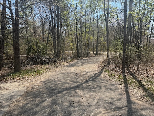 7525 Filbert Ln NE, Turtle River Twp, MN 56601 - view of road with a wooded view