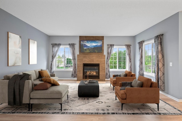 living area featuring wood finished floors, healthy amount of natural light, baseboards, and a fireplace