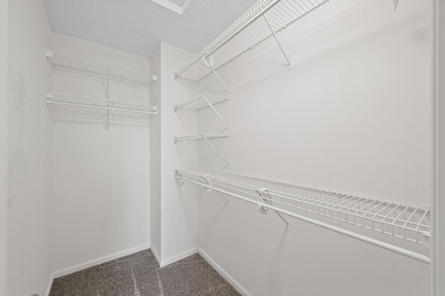 walk in closet with dark colored carpet