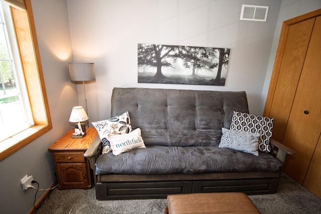 living room with carpet flooring