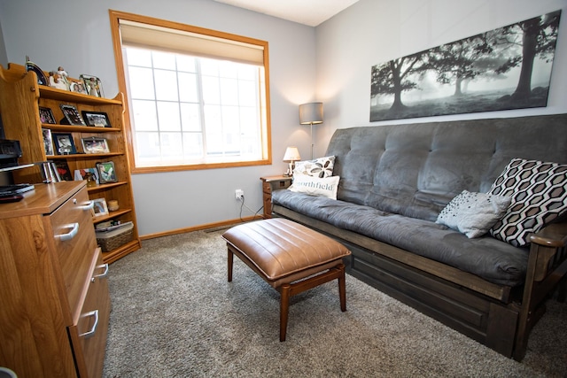 living room featuring carpet floors and baseboards