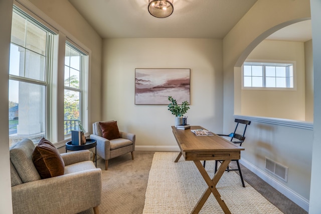 17796 Junelle Ct, Lakeville, MN 55044 - home office featuring carpet flooring, arched walkways, and baseboards