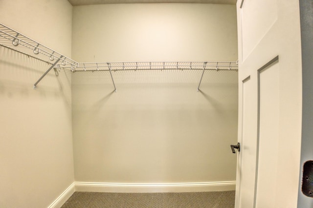 17796 Junelle Ct, Lakeville, MN 55044 - spacious closet featuring carpet flooring