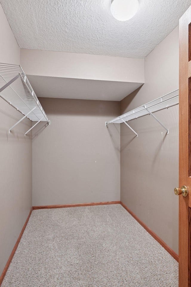 7081 Shawnee Ln, Chanhassen, MN 55317 - spacious closet with carpet