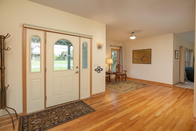 770 Valley View Rd SW, Oronoco, MN 55960 - entryway featuring light wood finished floors and baseboards