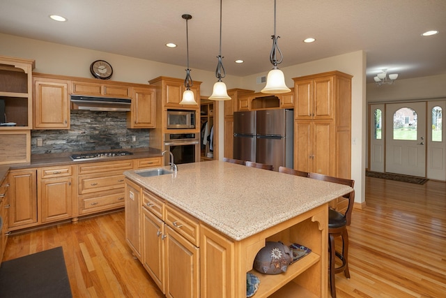 770 Valley View Rd SW, Oronoco, MN 55960 - kitchen with open shelves, stainless steel appliances, a sink, under cabinet range hood, and light wood finished floors