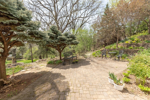 770 Valley View Rd SW, Oronoco, MN 55960 - view of patio