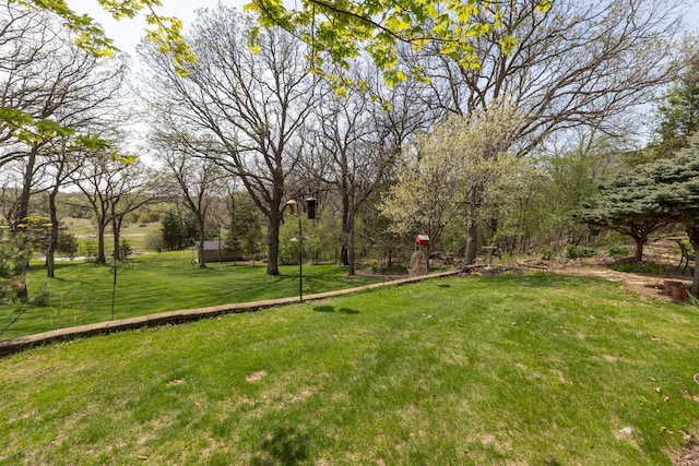 770 Valley View Rd SW, Oronoco, MN 55960 - view of grassy yard