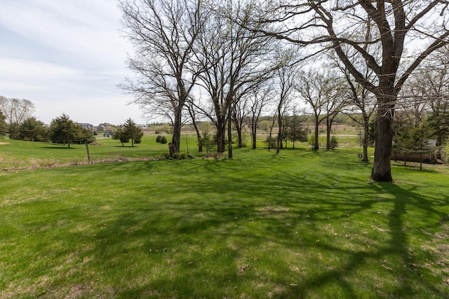 770 Valley View Rd SW, Oronoco, MN 55960 - view of grassy yard