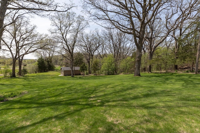 770 Valley View Rd SW, Oronoco, MN 55960 - view of green lawn with an outbuilding